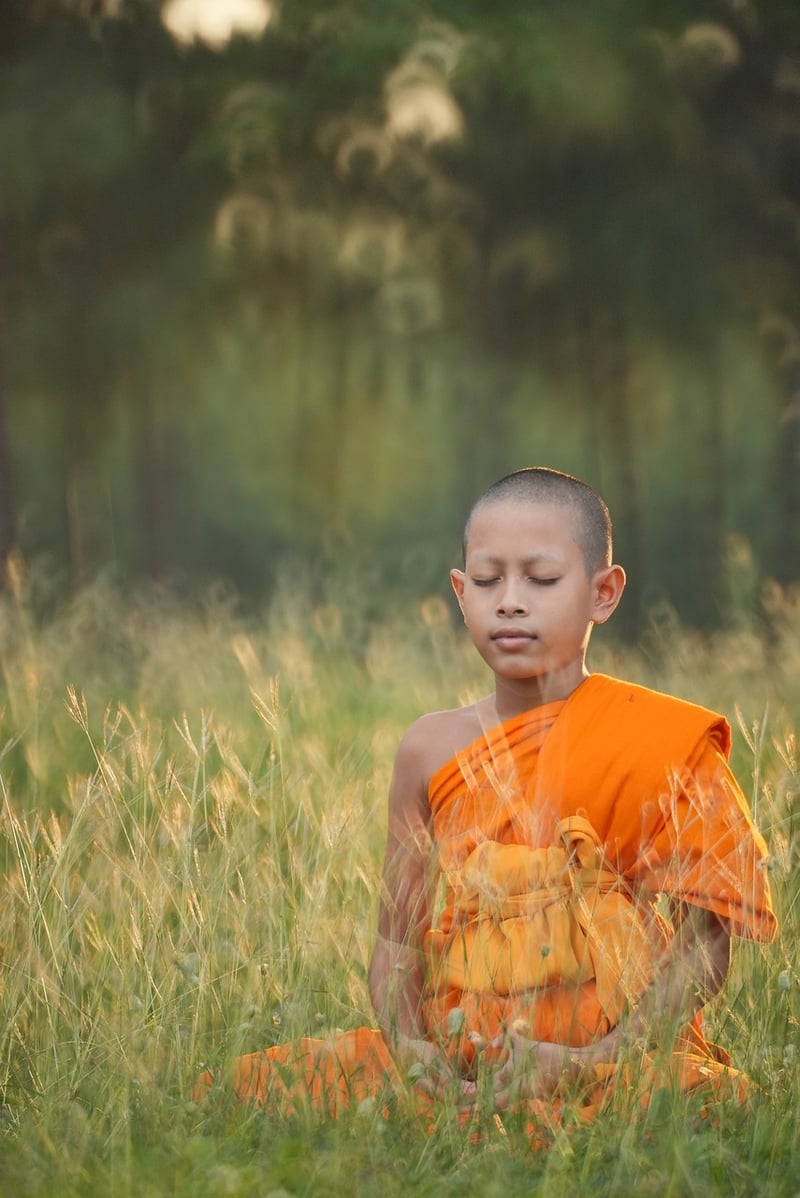 Person meditating in nature